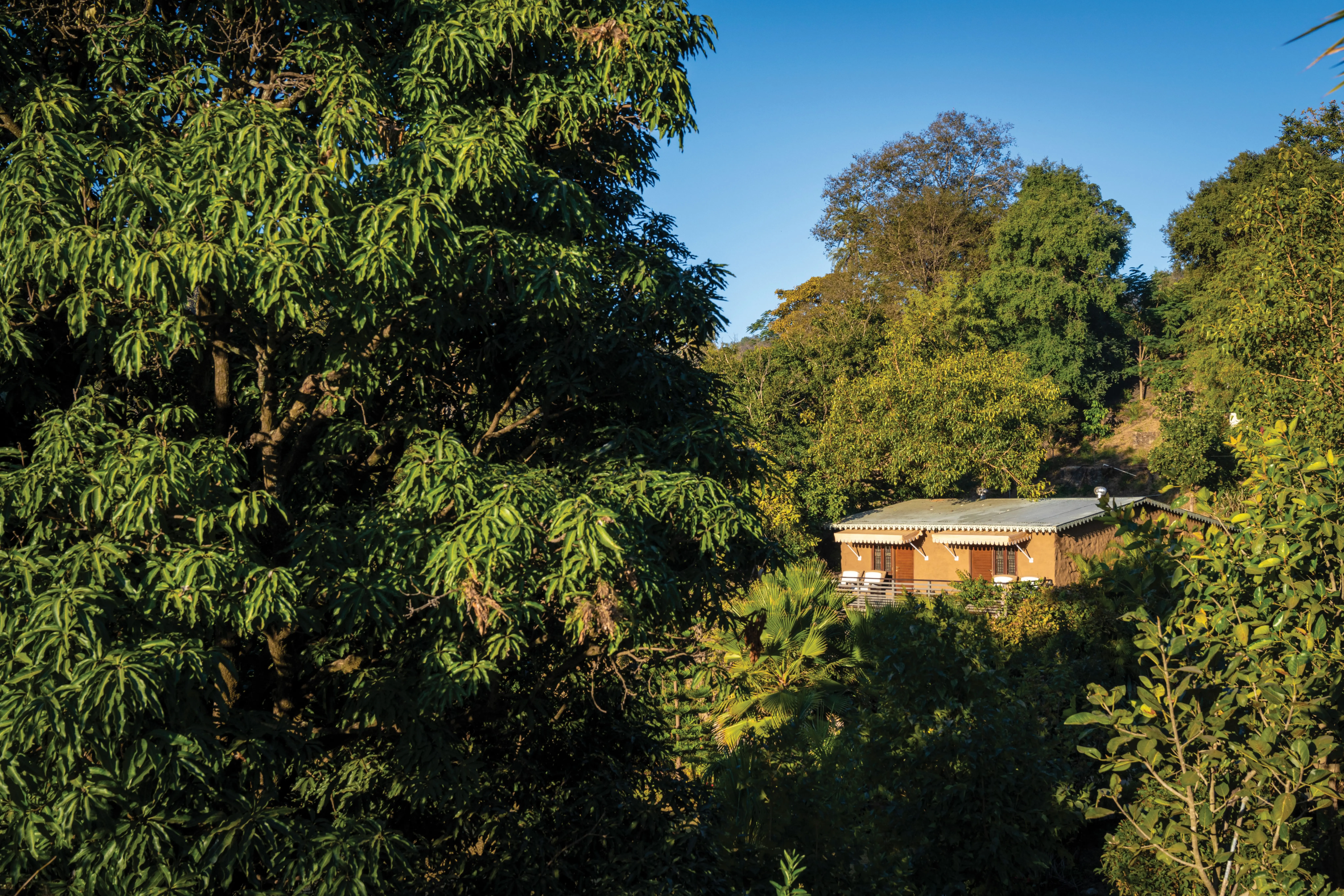 Mount Abu retreat - Scenic beauty